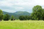 2014-07-05_Laengental-N-Hochweg (170). JPG